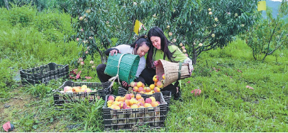 QQ图片20230907082416.png QQ图片20230907082416.png