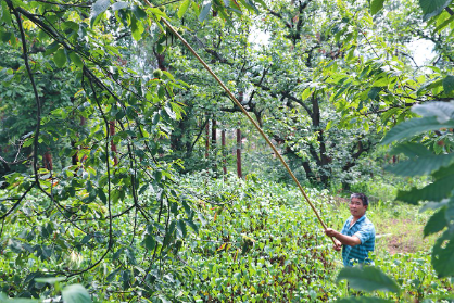 QQ图片20230907082435.png QQ图片20230907082435.png