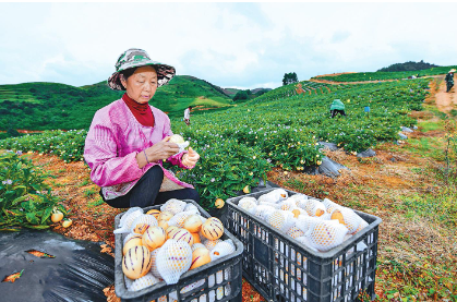 QQ图片20230913084400.png QQ图片20230913084400.png