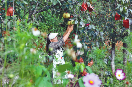 QQ图片20230913084412.png QQ图片20230913084412.png