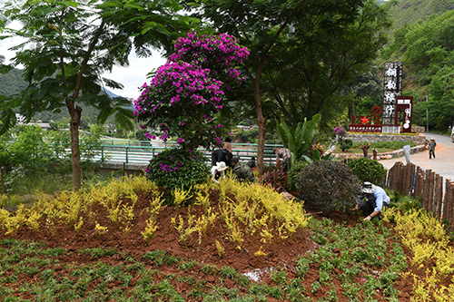 8万余株花草扮靓绿汁镇.jpg