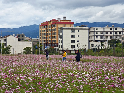 美丽玉溪文明游览1.jpg